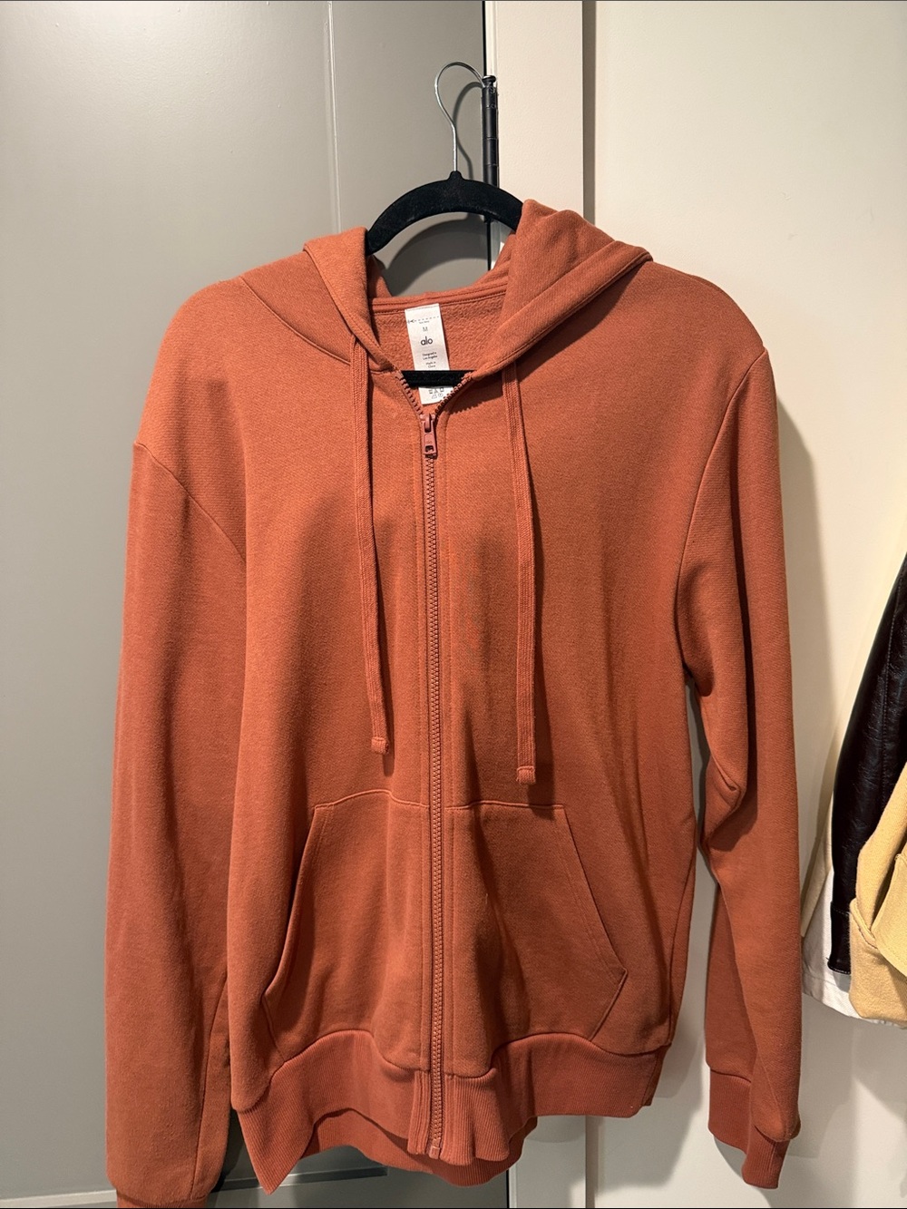 ALO Yoga Hooded Sweatshirt in Burnt Orange